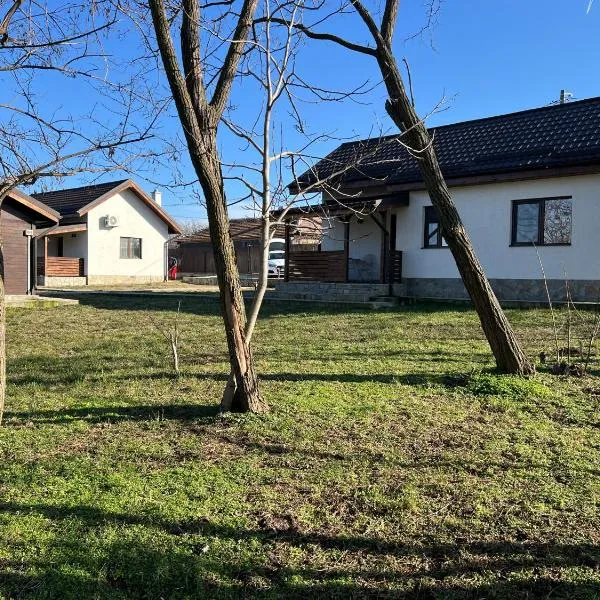 DRIDU LAKEVIEW House, отель в городе Dridu