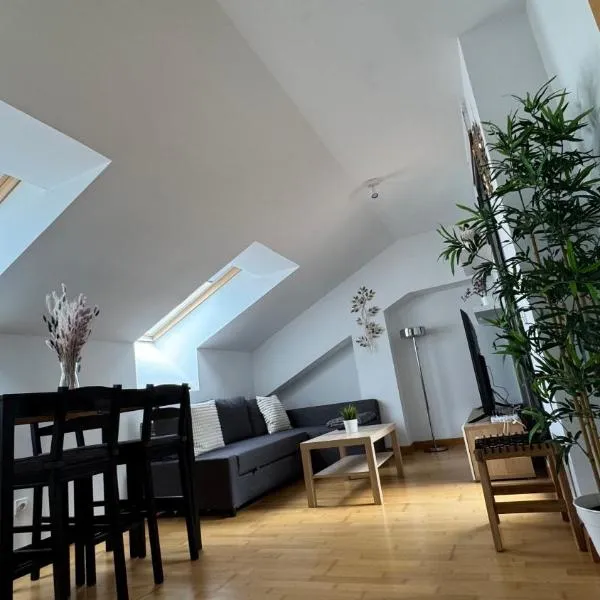 Apartamentos Suites Olmedo, Hotel in Olmedo