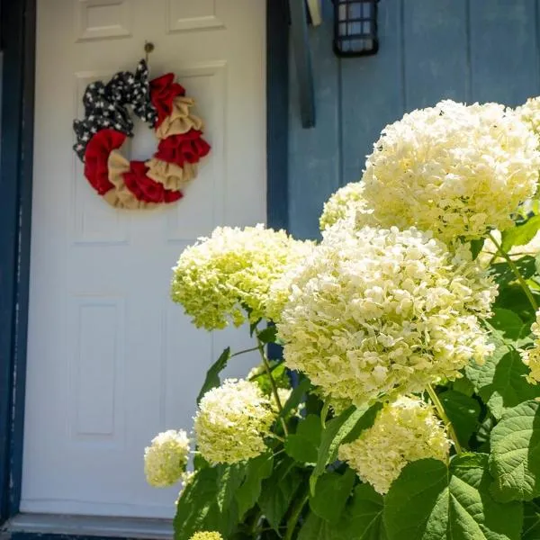 BnBs Dog Friendly Cottage, Hotel in Lewes