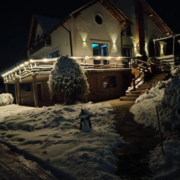 VIS PENSION, hotel in Viile Satu Mare