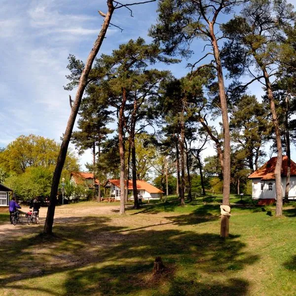 Gaststätte und Pension Zum Klausner, hotel in Kloster