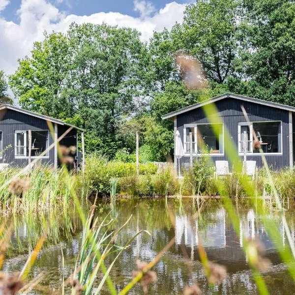 Tiny house XL - Vakantiepark De Kremmer, hotel in Gasselte