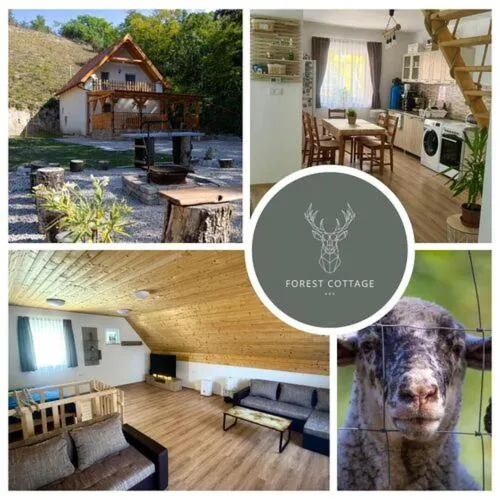 Forest Cottage 2024, Hotel in Lábatlan