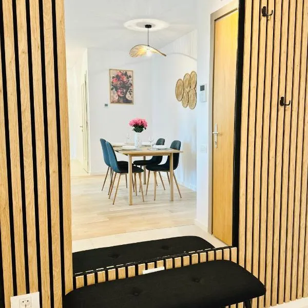 Central Grand Apartment，蒂米什瓦拉的飯店