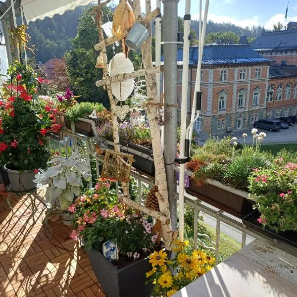 Elsterglück, ξενοδοχείο σε Bad Elster