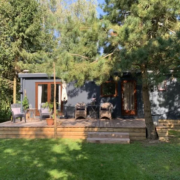 Chalet Het Gewei, hotel in Rotsterhaule