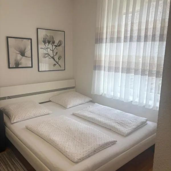 1,5 Zimmer Appartement、ヴィンタートゥールのホテル