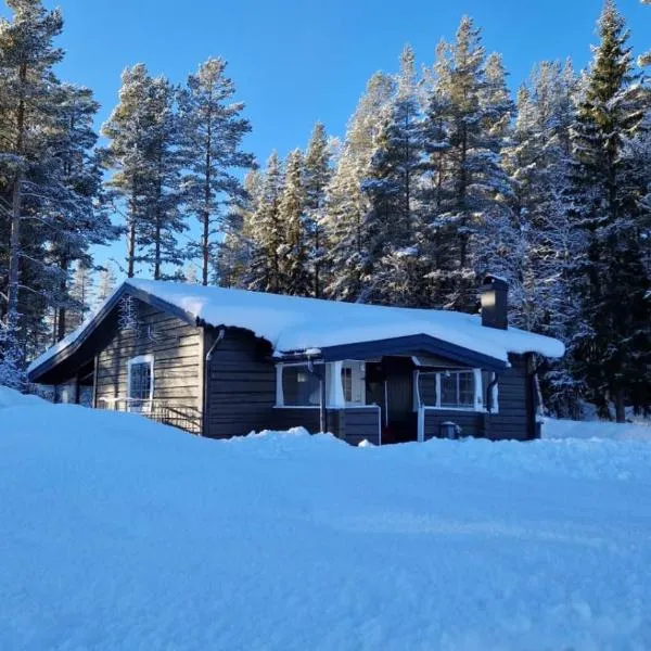 Gemütliches Blockhaus, hotel in Nornäs