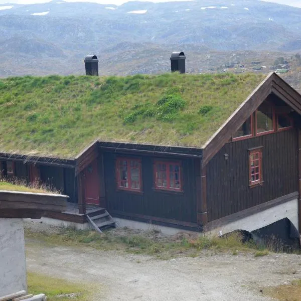 Gamlestøyl 30D, Haukeli Vågslid, hotel in Vågsli
