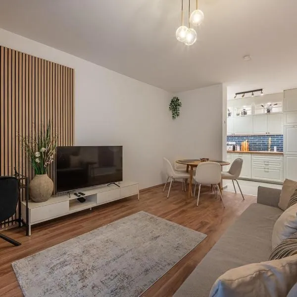 Elegant, high end, central condo, hotel in Budapest