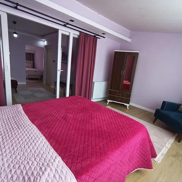 Samlife Apart, hotel v destinaci Samsun