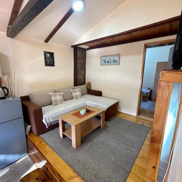 Micic Apartment 3 Divcibare, hotel v destinaci Divčibare