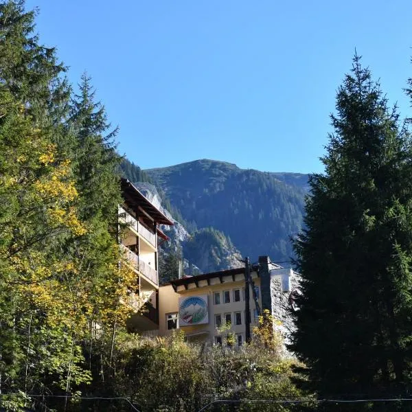 Balea Teleferic, hotel in Cîrţişoara