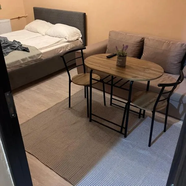 Robert room 18, hotel in Arad