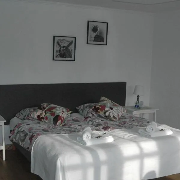 Bed & Breakfast de Vrijheid, hotel in Ede