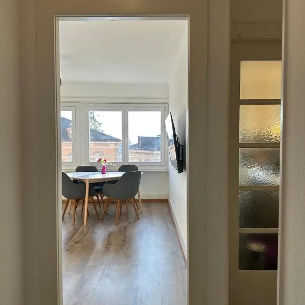 Apartamento 1 habitación centro, hotel v destinaci Lausanne