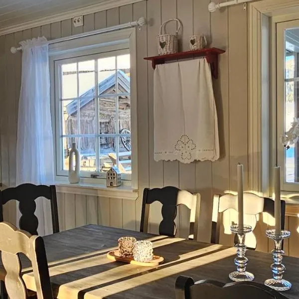 Sjoaasen, hotel in Hjartdal