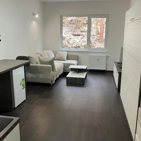 Apartmán Nelinka u Klínovce, hotel in Ostrov