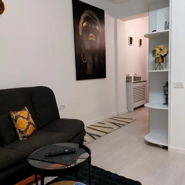 Studio, hotell sihtkohas Tulcea