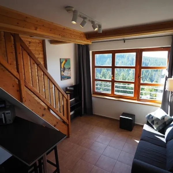 Cihlářka 303, hotel in Pec pod Snezkou