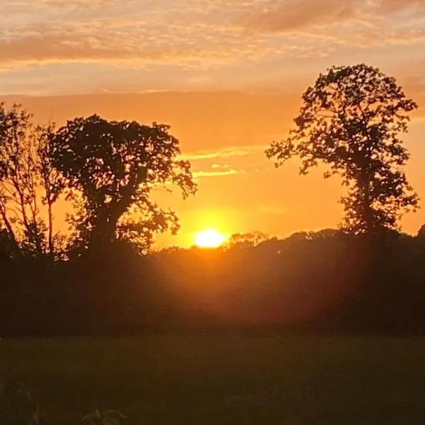 The Horseshoe Cottage, hotel ad Alkham