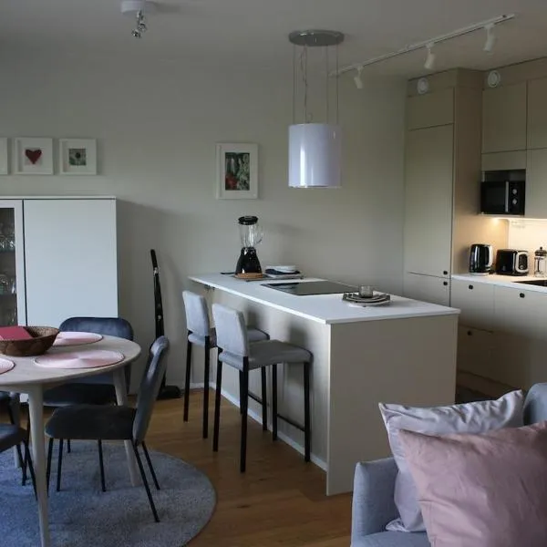 Air conditioned condo downtown with lake view, hotel in Hämeenlinna