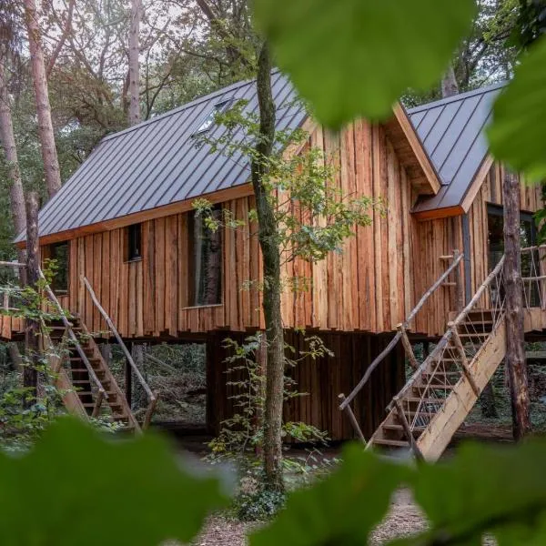 New Unique Treehouses with hot tub in Oisterwijk, hotel in Oisterwijk
