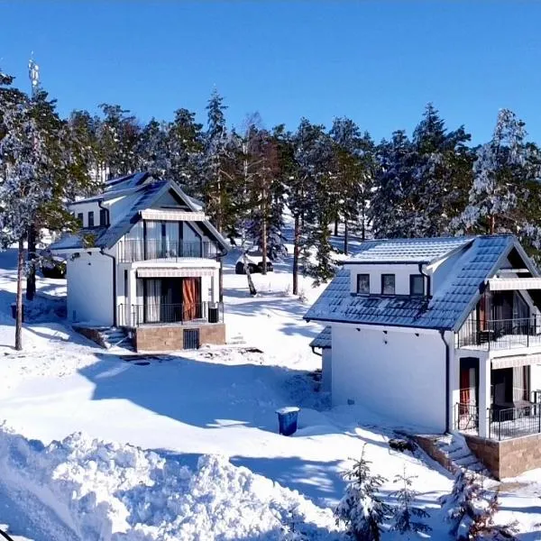 Kuca za odmor Divcibare，位于迪瓦伊巴雷的酒店