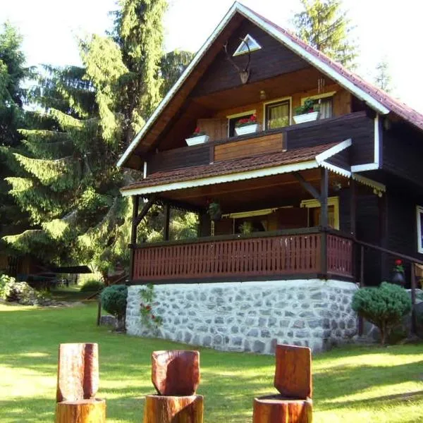 Uni-kom forest lodge, hotel in Lacu Rosu