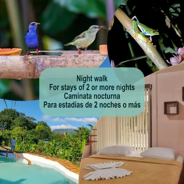 Cabañas del Rio, hotel in Fortuna