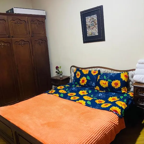 Apartament old city, Hotel in Tiflis