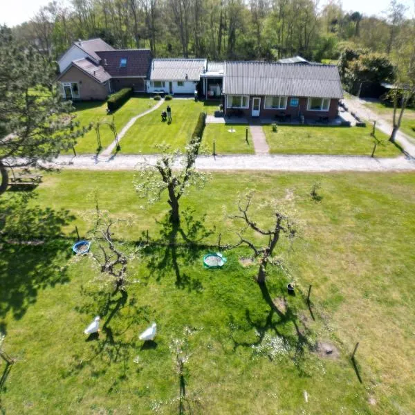 Little Creek - Lodges in het natuurgebied, hotel v destinaci Renesse