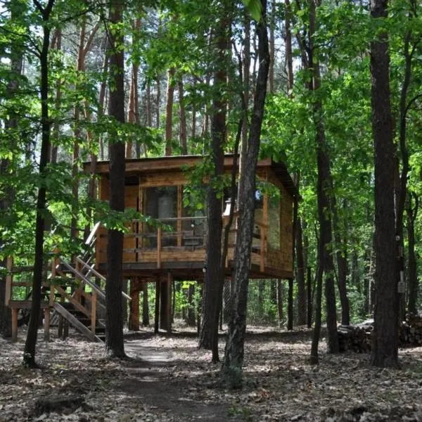 Domek na Drzewie, hotelli kohteessa Rudka Gołębska