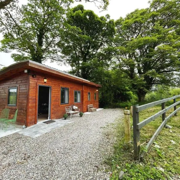 Scenic Countryside Lodge Romantic & Pet-Friendly, hotel in Newcastle West