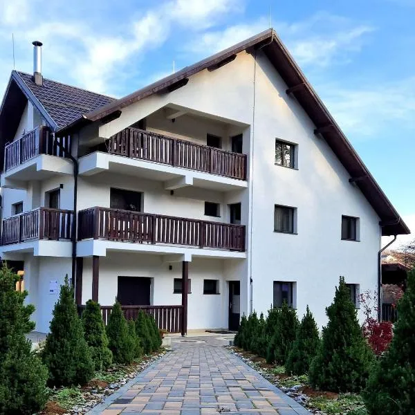 Pensiunea Izvorul Liniștii、Rădăşeniのホテル