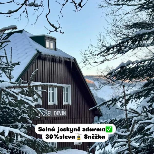 Hotel Děvín, hotel v destinaci Pec pod Sněžkou