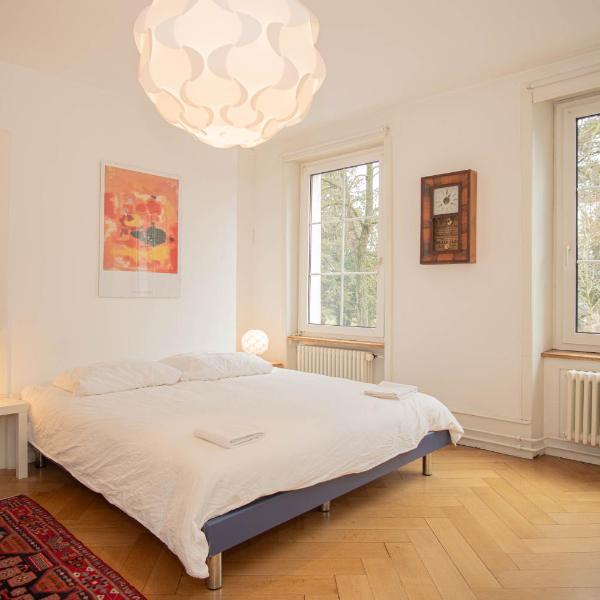 Two Floor Apartment with Garden & BaselCard, Basilea