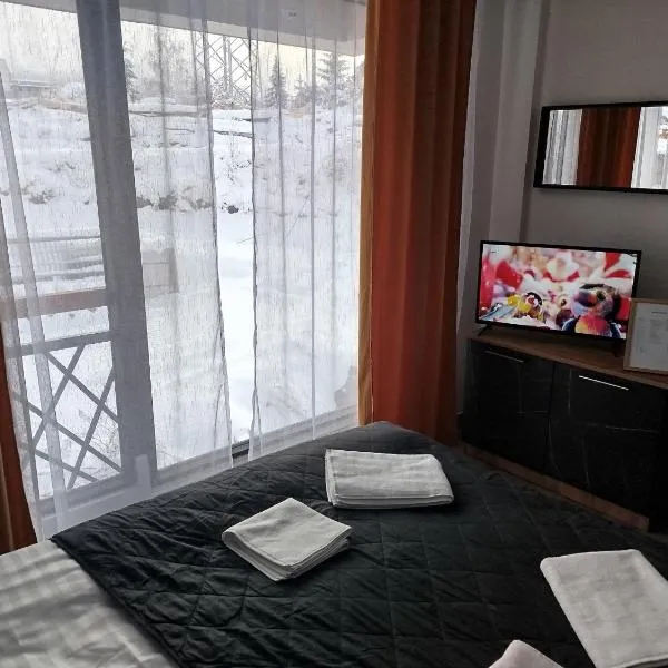 Kopaonik Residence Hill A043 โรงแรมในโคเปานิก