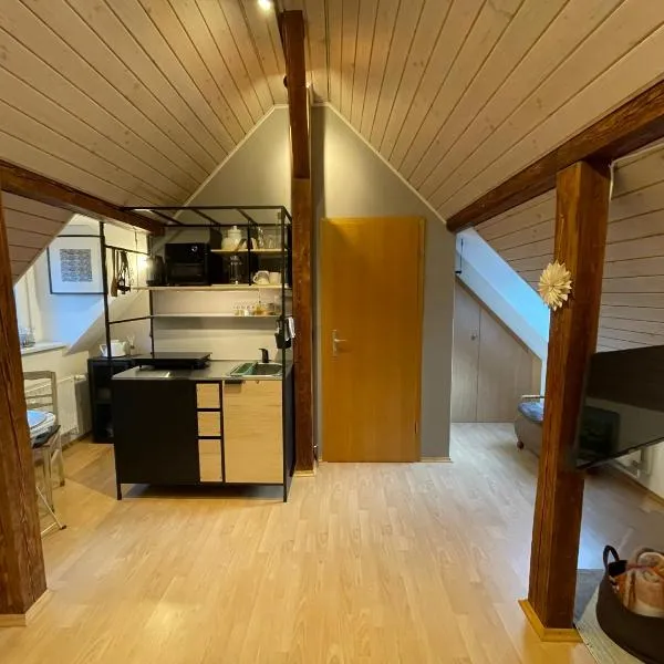 Modernes 1-Raum-Apartment, Hotel in Dresden