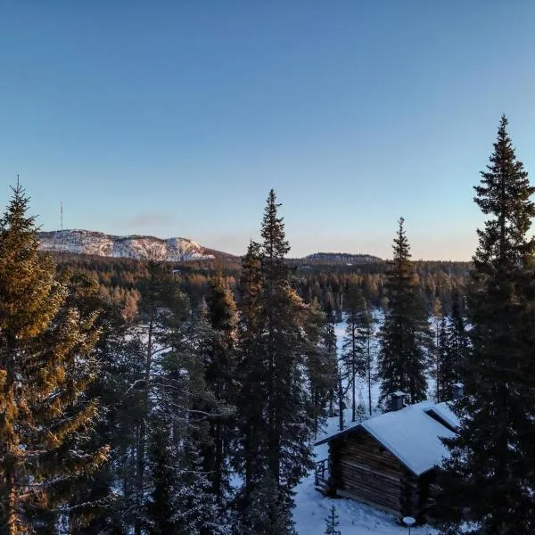 Pikkukelo Ruka, готель у місті Рука