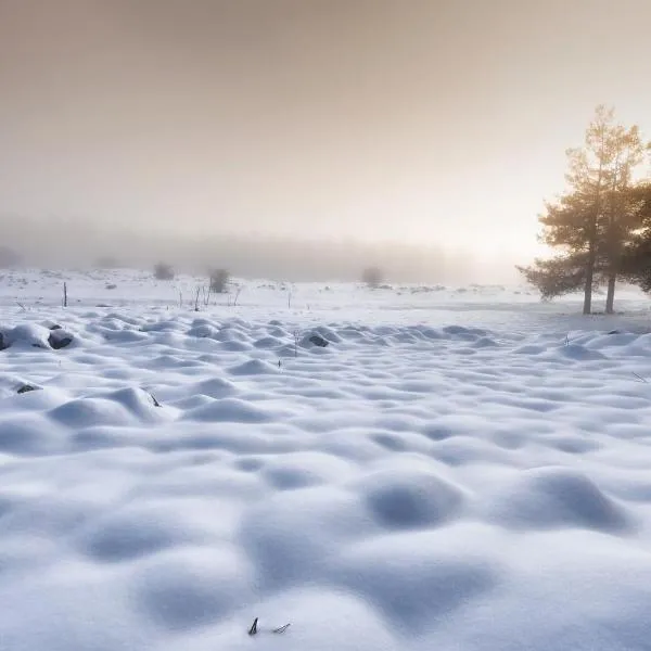 Boutique El-Rom, hotel in El-Rom