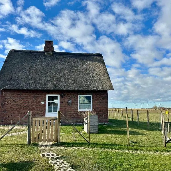 Haus Treibsel, hôtel à Dagebüll