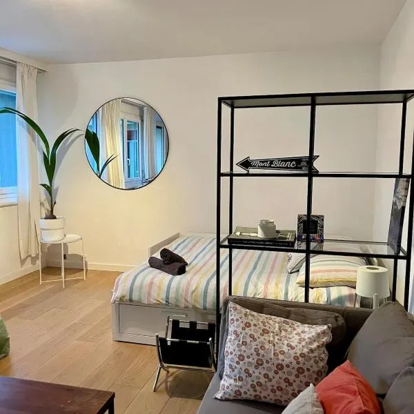 Beautiful central apartment GE, hotel v Ženevě