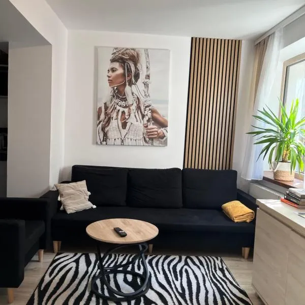Apartament Soplicy 17, hotel v destinaci Toruň