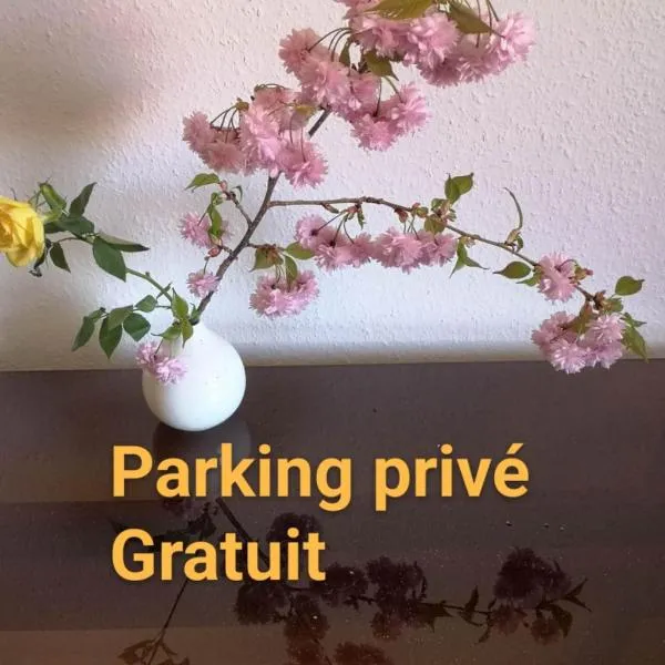 Appartement Zen Strasbourg center avec parking, hotel en Estrasburgo