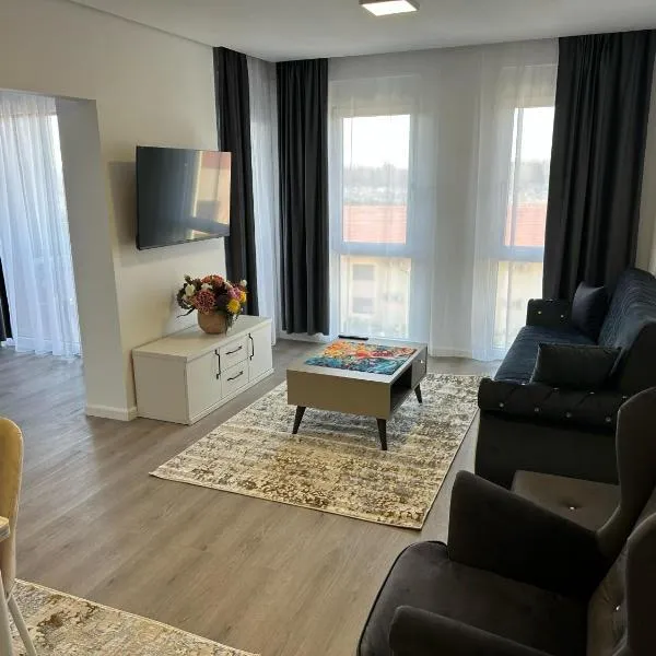 Apartament Elizabeth De Luxe Apart Hotel, hotel v destinaci Oradea