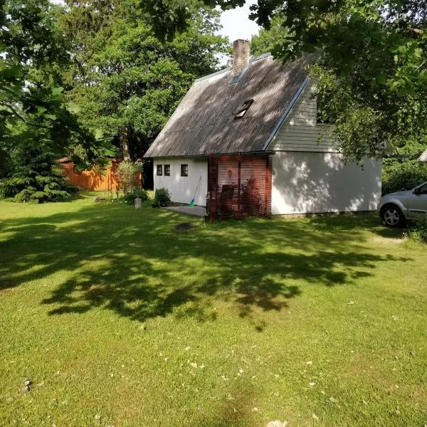 Cozy forest house, Hotel in Kaunispe
