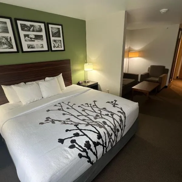 Sleep Inn & Suites Conference Center Eau Claire North, hotel di Union