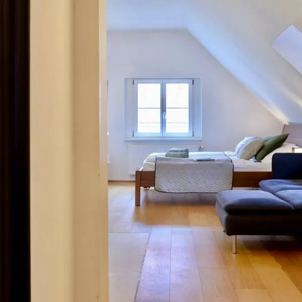 Harmony Living Stylisches Apartment mit Top Lage im Herzen von Graz, hotel in Graz