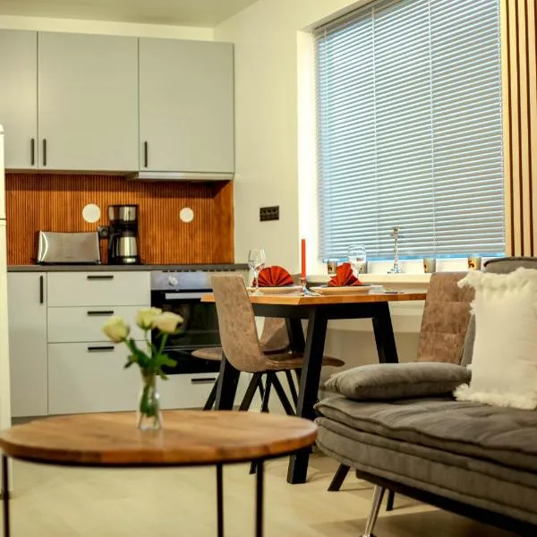 Cityview Studio, hotel en Inari